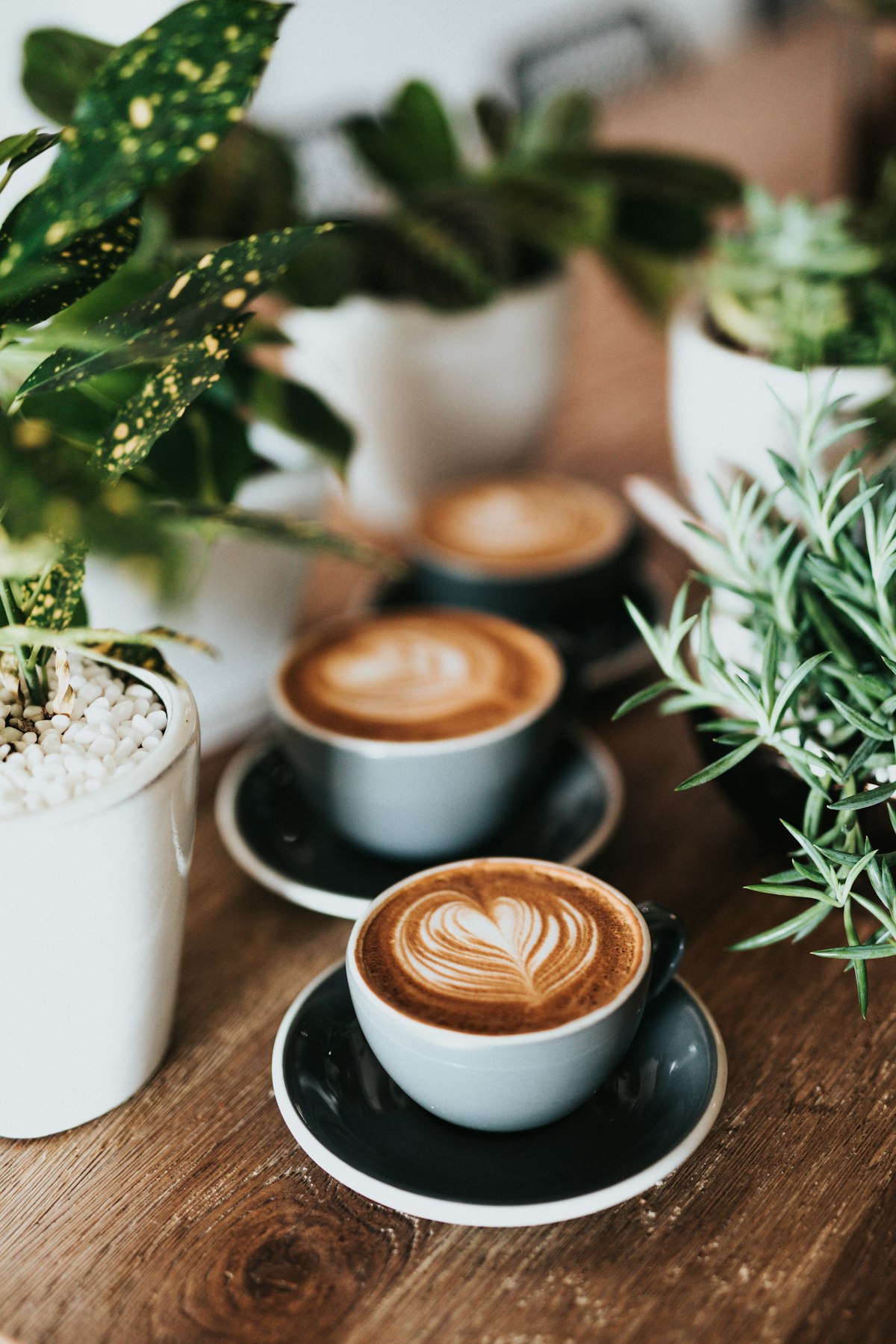 Why Matcha Is More Than A Drink